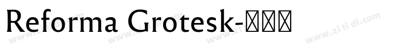 Reforma Grotesk字体转换